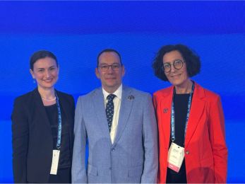 DBfK für Deutschland in der ICN-Mitgliederversammlung