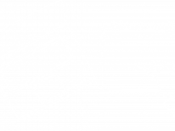 Expertenstandard Dekubitusprophylaxe (online)